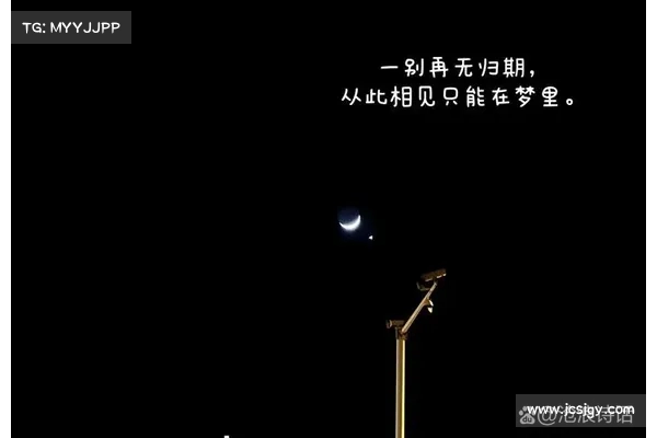 别拿同情心当理由，因为你的收入远远不及我